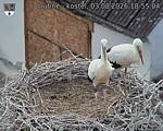 Capi_Dubne_20260803_185504.jpg