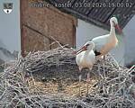 Capi_Dubne_20260803_190002.jpg