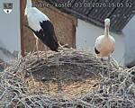 Capi_Dubne_20260803_190503.jpg