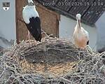 Capi_Dubne_20260803_191004.jpg