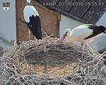 Capi_Dubne_20260803_191503.jpg