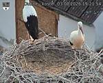 Capi_Dubne_20260803_192154.jpg