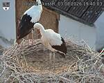 Capi_Dubne_20260803_194003.jpg