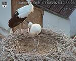 Capi_Dubne_20260803_195503.jpg