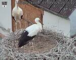 Capi_Dubne_20260803_203502.jpg