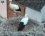 Capi_Dubne_20260803_205502.jpg