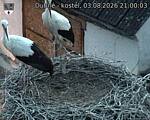Capi_Dubne_20260803_210003.jpg