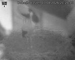 Capi_Dubne_20260803_212003.jpg