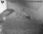 Capi_Dubne_20260803_214003.jpg