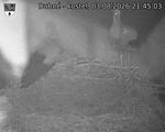 Capi_Dubne_20260803_214503.jpg