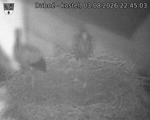 preload