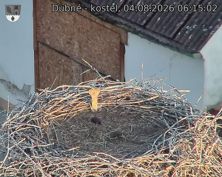 Capi_Dubne_20260804_061502.jpg (1350&nbsp;x&nbsp;1080)