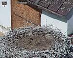 Capi_Dubne_20260804_112002.jpg