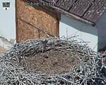 Capi_Dubne_20260804_125502.jpg