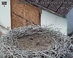 Capi_Dubne_20260804_135004.jpg