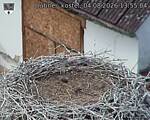 Capi_Dubne_20260804_135504.jpg