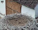 Capi_Dubne_20260804_141004.jpg