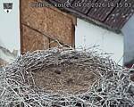 Capi_Dubne_20260804_141503.jpg