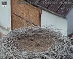 Capi_Dubne_20260804_142004.jpg