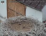 Capi_Dubne_20260804_143503.jpg