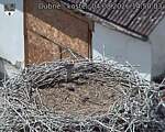 Capi_Dubne_20260804_145003.jpg