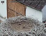 Capi_Dubne_20260804_151502.jpg