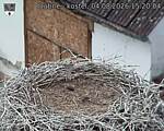 Capi_Dubne_20260804_152004.jpg