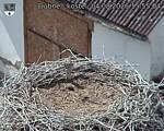 Capi_Dubne_20260804_155504.jpg