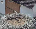 Capi_Dubne_20260804_164506.jpg