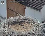 Capi_Dubne_20260804_165504.jpg