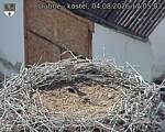 Capi_Dubne_20260804_170503.jpg