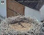 Capi_Dubne_20260804_171507.jpg