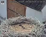 Capi_Dubne_20260804_172009.jpg