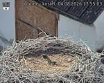 Capi_Dubne_20260804_175503.jpg