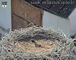 Capi_Dubne_20260804_180007.jpg