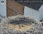 Capi_Dubne_20260804_184504.jpg