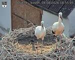 Capi_Dubne_20260804_185505.jpg