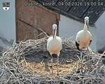 Capi_Dubne_20260804_190004.jpg