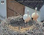 Capi_Dubne_20260804_191004.jpg