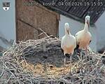 Capi_Dubne_20260804_191505.jpg