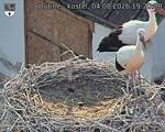 Capi_Dubne_20260804_192008.jpg