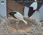 Capi_Dubne_20260804_194004.jpg