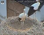 Capi_Dubne_20260804_194503.jpg