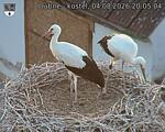 Capi_Dubne_20260804_200504.jpg