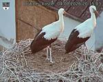 Capi_Dubne_20260804_201503.jpg