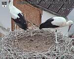 Capi_Dubne_20260804_204003.jpg