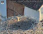Capi_Dubne_20260805_062503.jpg