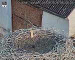 Capi_Dubne_20260805_064004.jpg