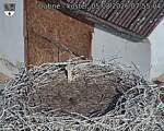 Capi_Dubne_20260805_075504.jpg