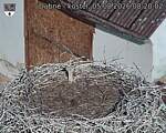 Capi_Dubne_20260805_082002.jpg